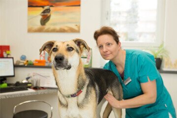Tierärztliche Grundversorgung