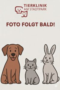Bild folgt bald
